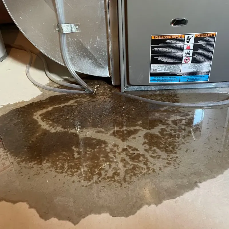 Pipe Burst and Leak Restoration in Centre Hall, PA